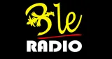 BLE Radio