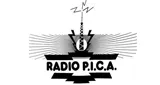 Radio Pica