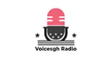 Voicesgh Radio