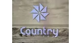 Country 101