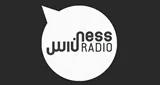 Ness Radio