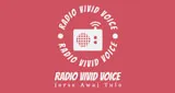 Radio Vivid Voice