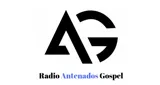 Radio Antenados Gospel