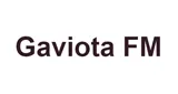 Gaviota FM 104.1