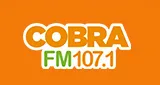 Rádio Cobra FM