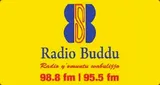 Radio Buddu 98.8FM and 95.5FM