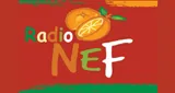 Radio NeF