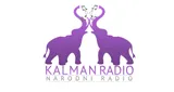Kalman radio