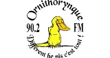 Ornithorynque