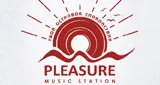 Pleasure music station