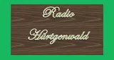 Radio Hürtgenwald